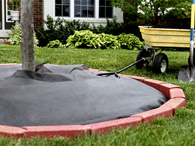 Landscape Maintenance Naples, FL