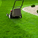 Lawn Maintenance