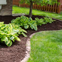 Mulch Services