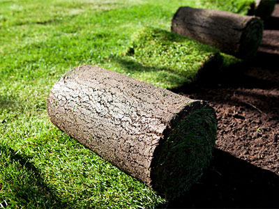 Sod Installation Estero, FL